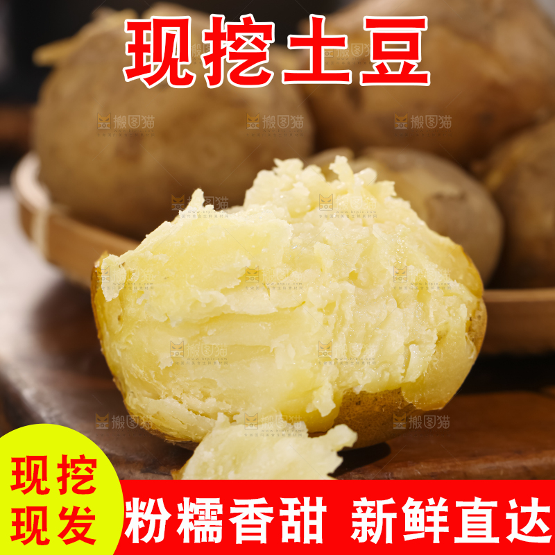 土豆