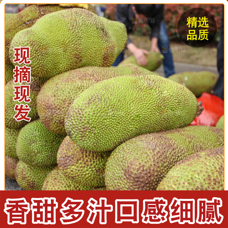 菠萝蜜