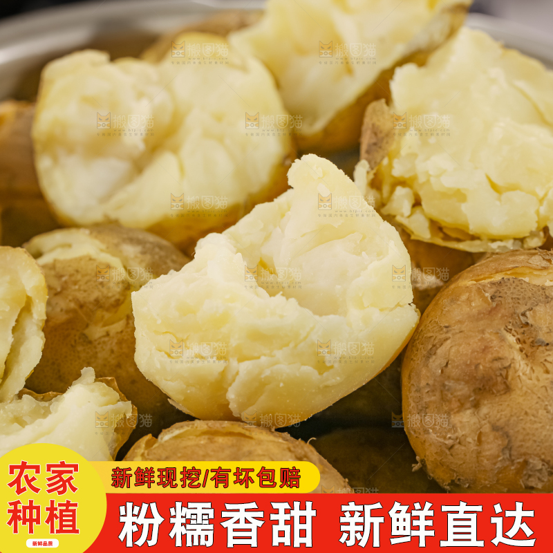 土豆