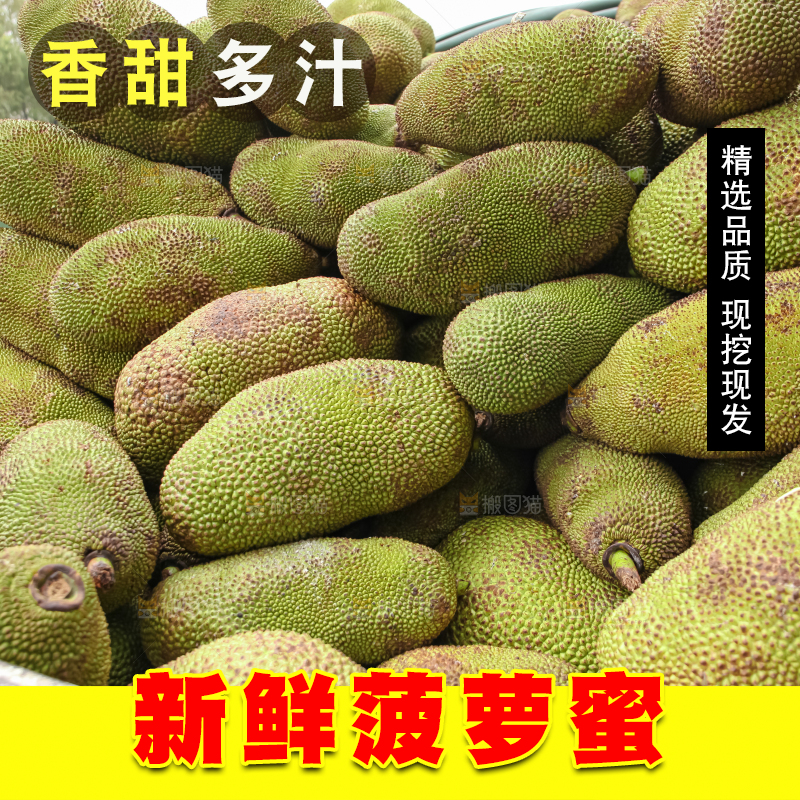 菠萝蜜