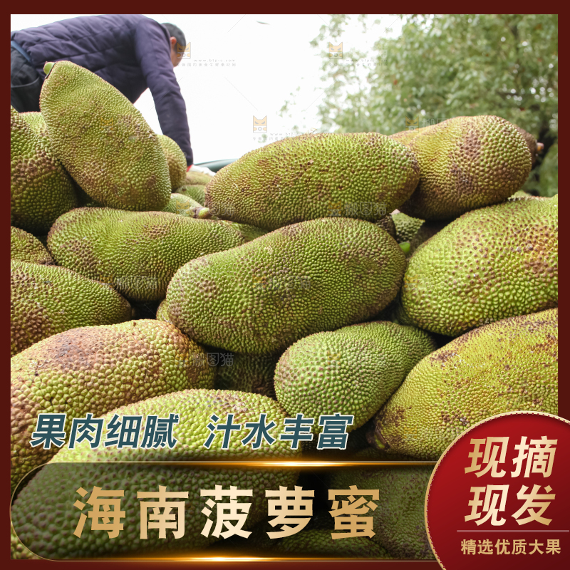 菠萝蜜