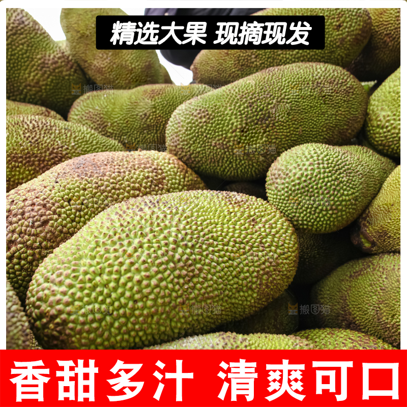 菠萝蜜
