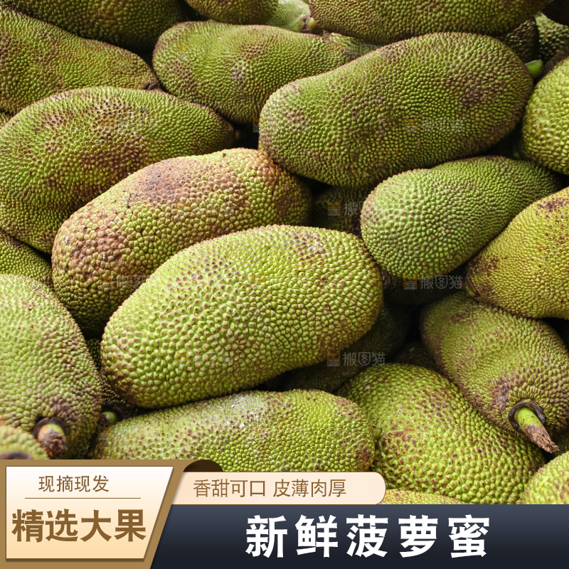 菠萝蜜