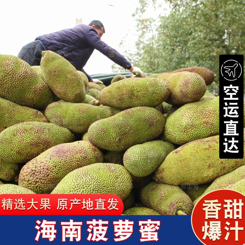 菠萝蜜