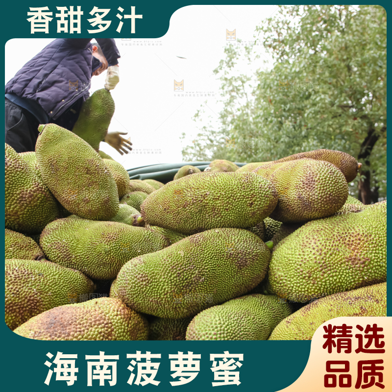 菠萝蜜