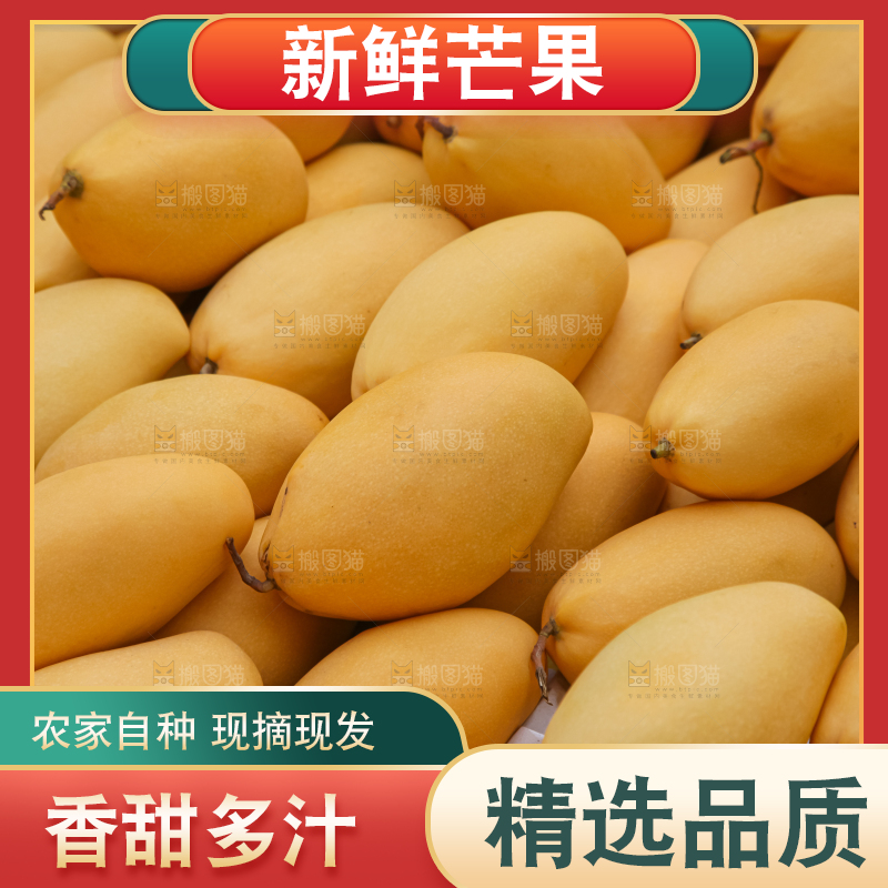 芒果