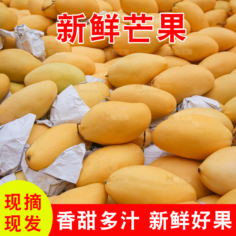 芒果