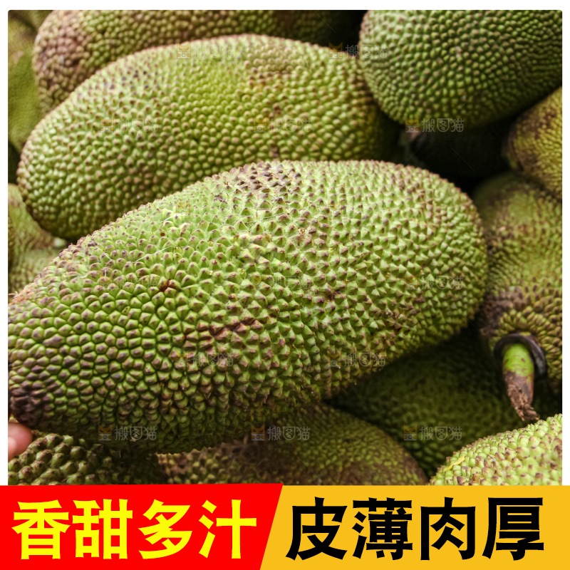 菠萝蜜