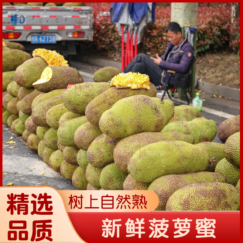 菠萝蜜