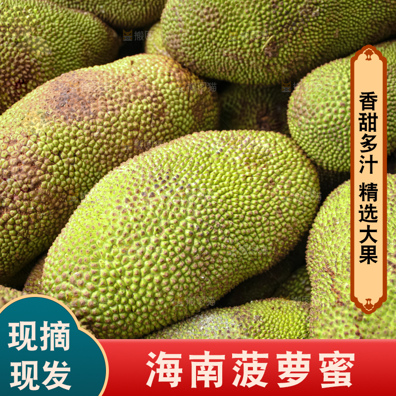 菠萝蜜