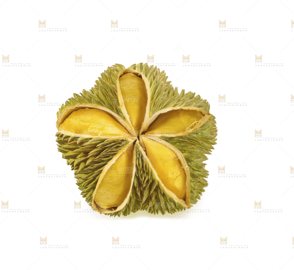 金枕榴莲