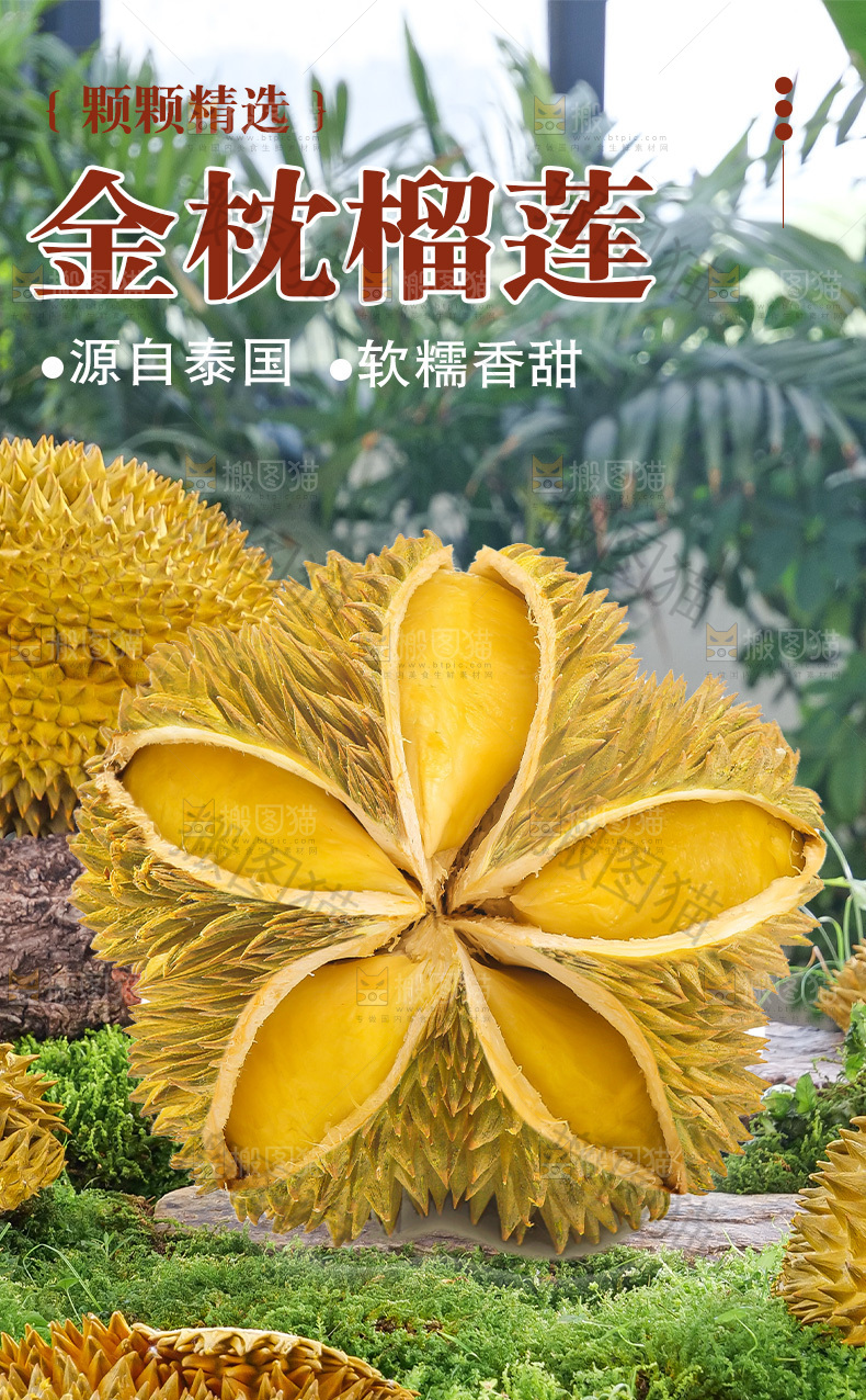 金枕榴莲详情页