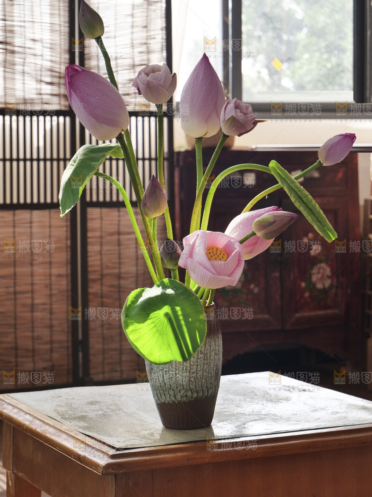 荷花
