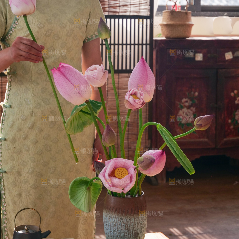 荷花
