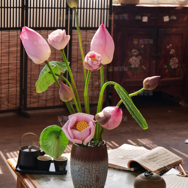 荷花
