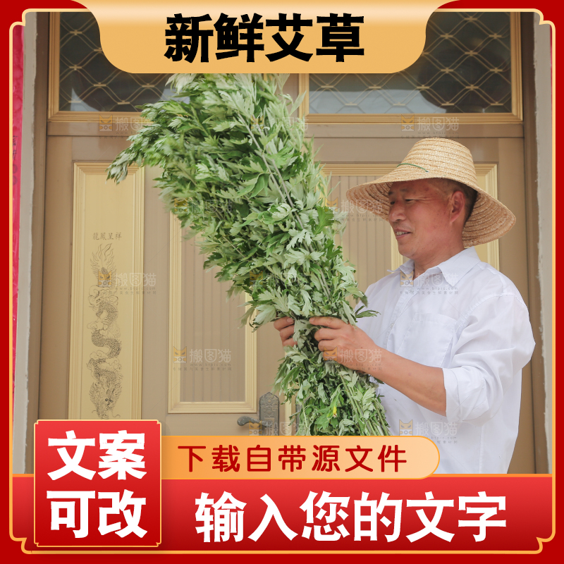 艾草