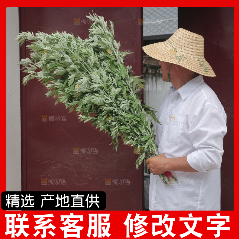 艾草