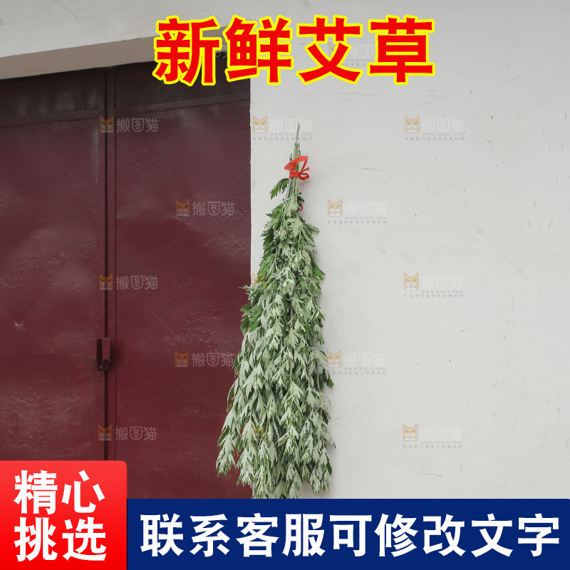 艾草