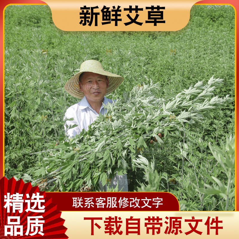 艾草