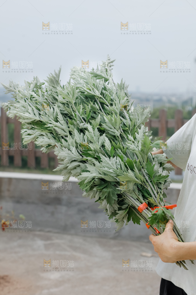 艾草