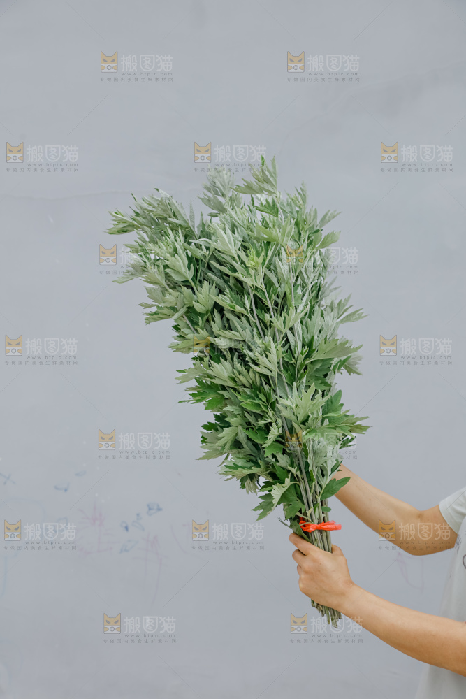 艾草