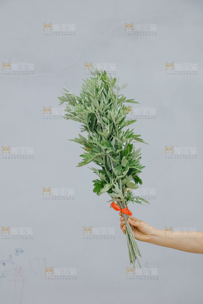 艾草