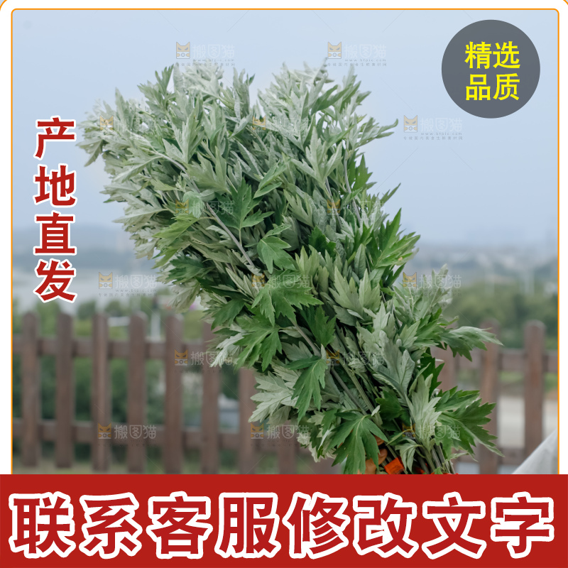 艾草