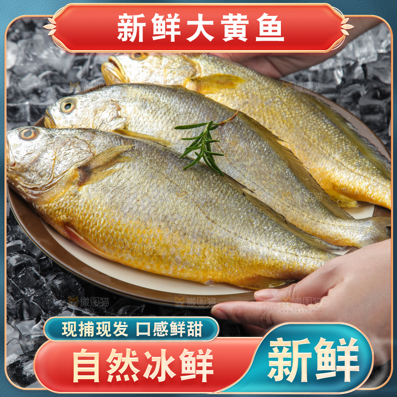 大黄鱼
