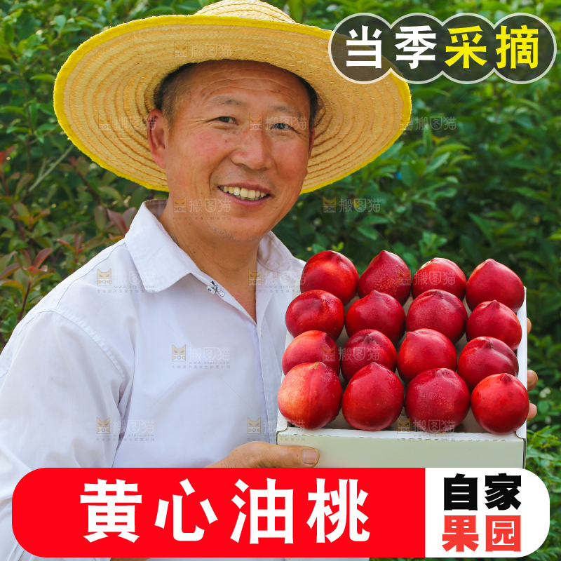 黄心油桃