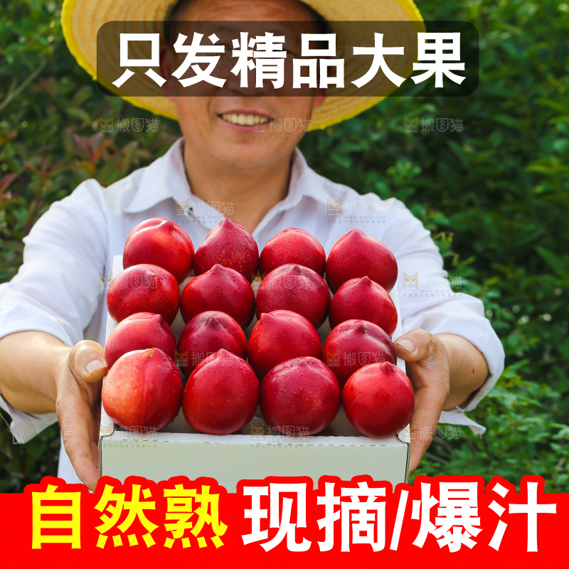 黄心油桃