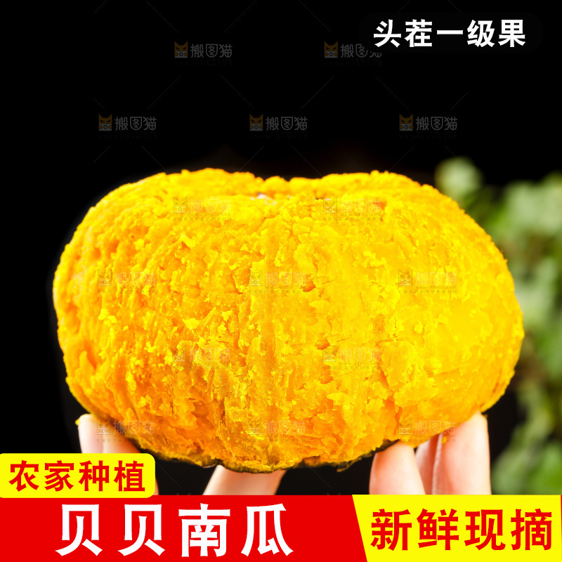 贝贝南瓜