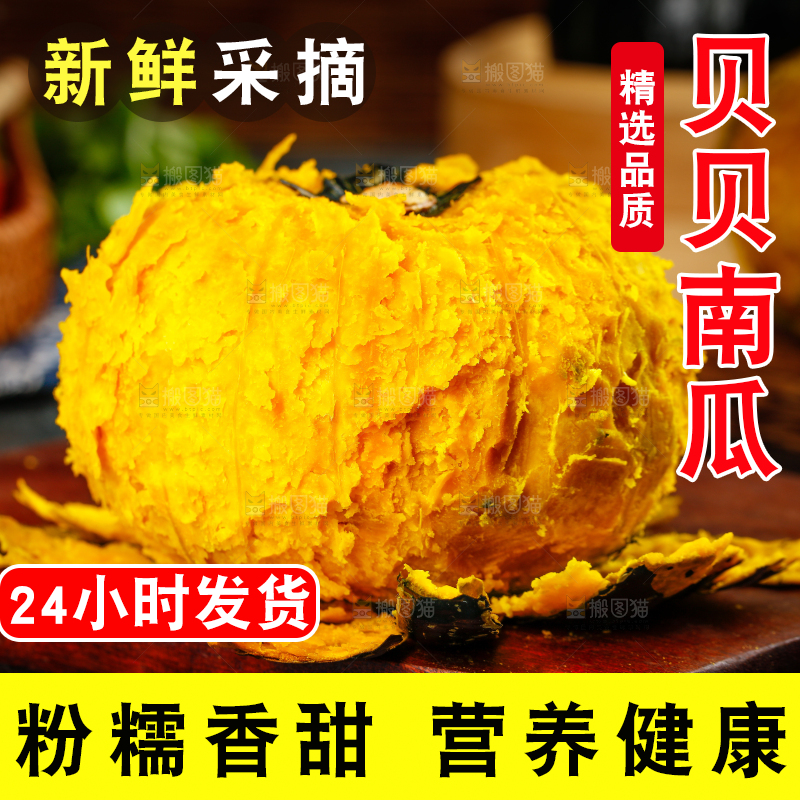 贝贝南瓜