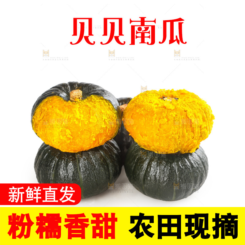 贝贝南瓜