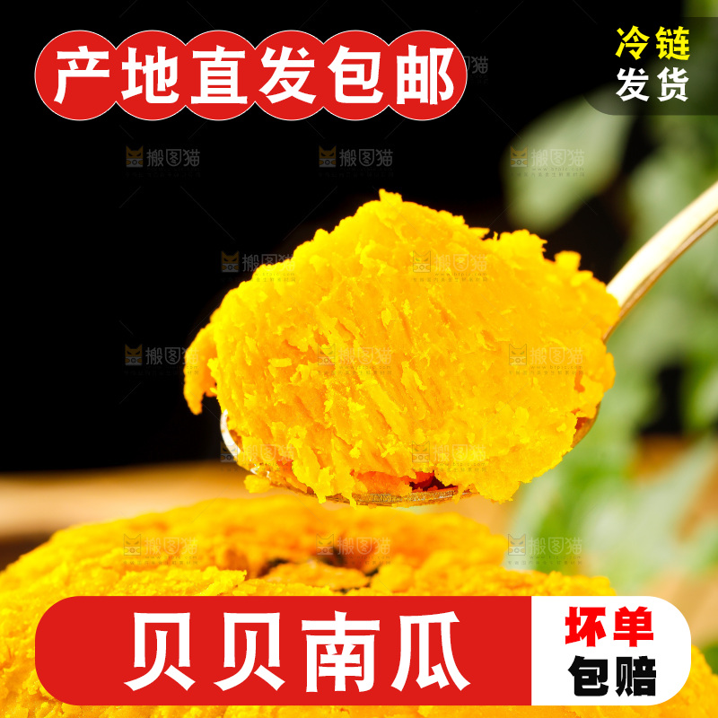 贝贝南瓜