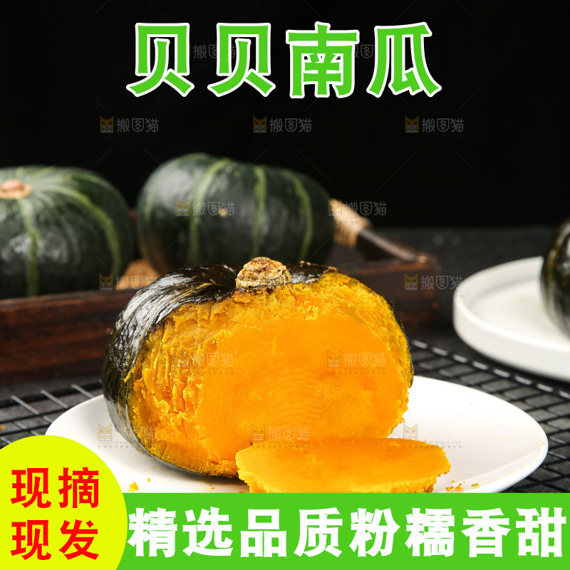 贝贝南瓜