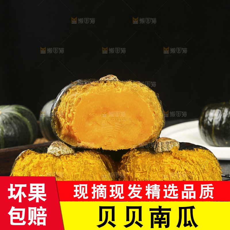 贝贝南瓜
