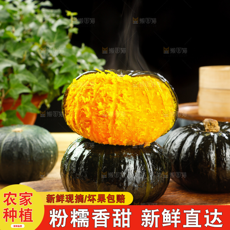 贝贝南瓜