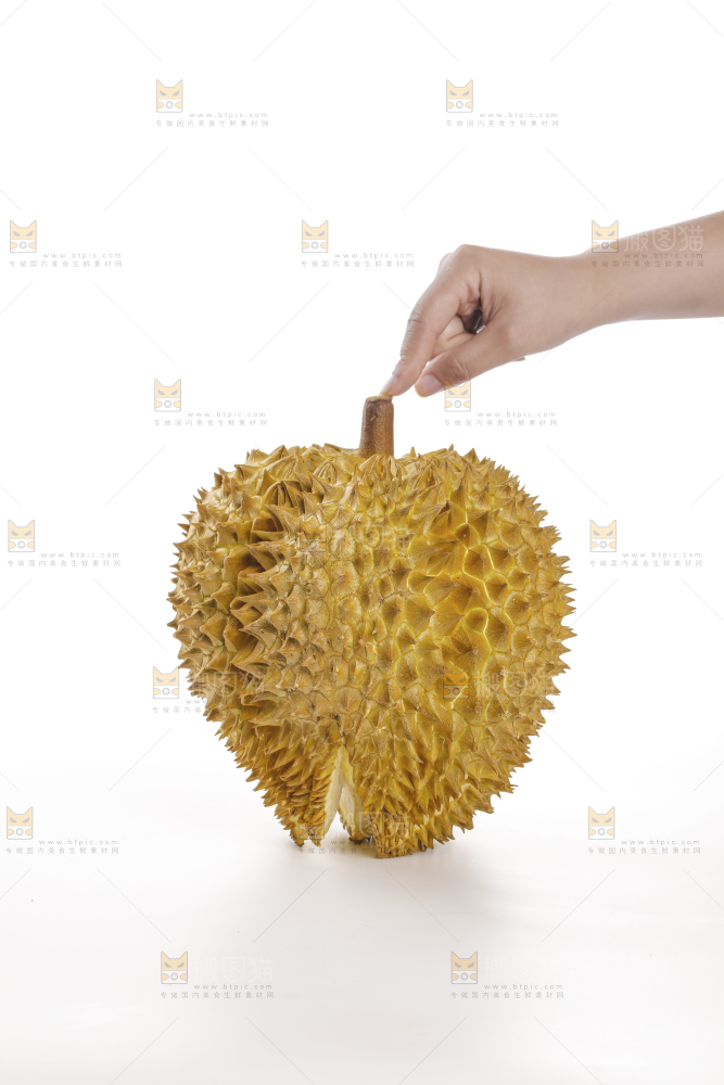 金枕榴莲