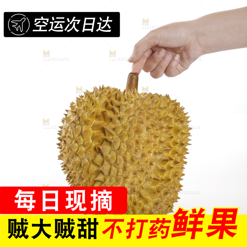 金枕榴莲