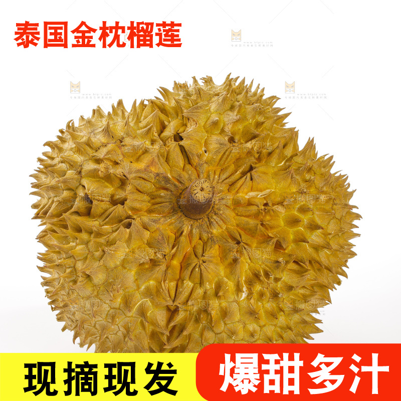 金枕榴莲