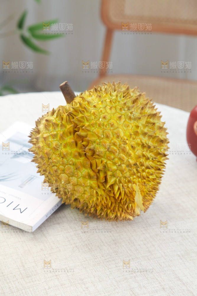 金枕榴莲