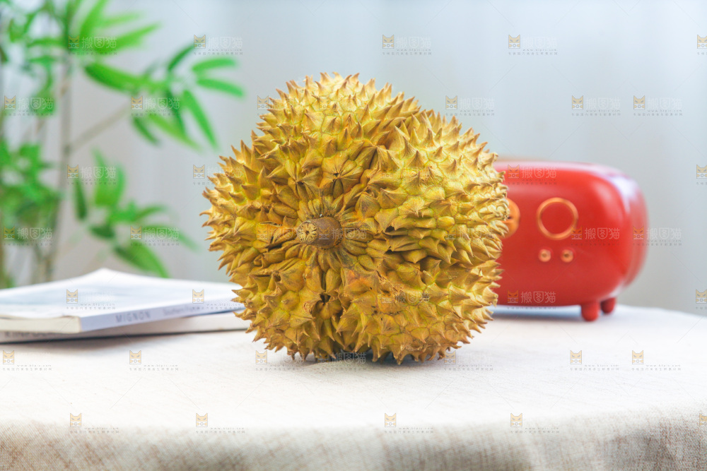 金枕榴莲
