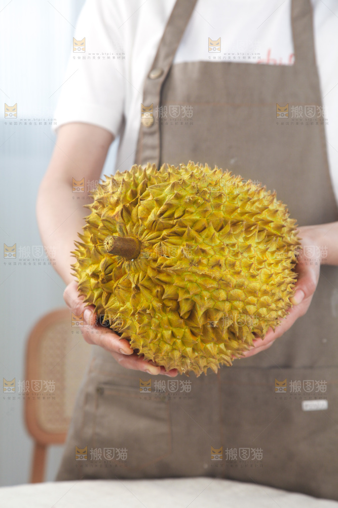 金枕榴莲