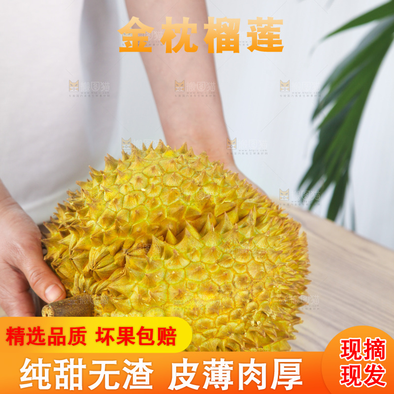 金枕榴莲