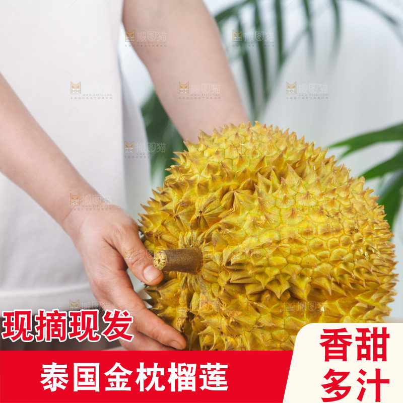 金枕榴莲