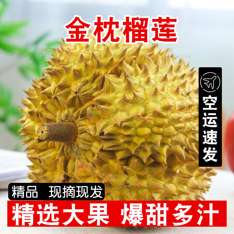 金枕榴莲