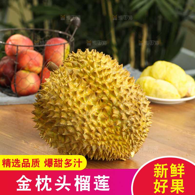 金枕榴莲