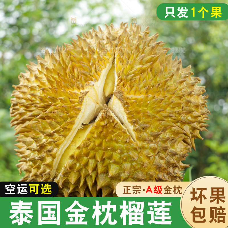 金枕榴莲