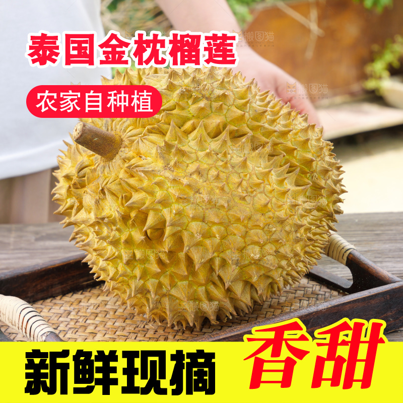 金枕榴莲