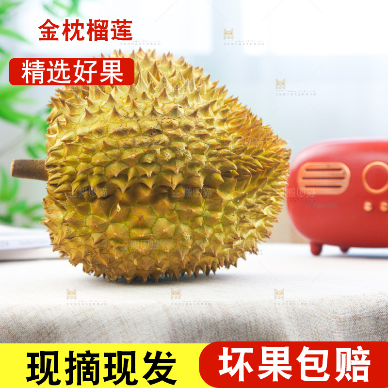 金枕榴莲